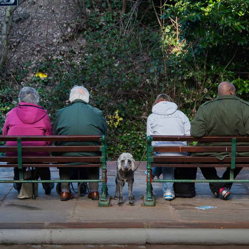 کلاس نقد عکس - صفحه معرفی کلاس