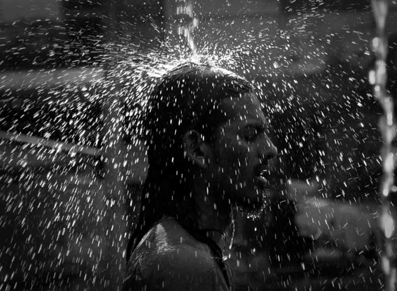 از مجموعه تایپوسام نفیسه مطلق