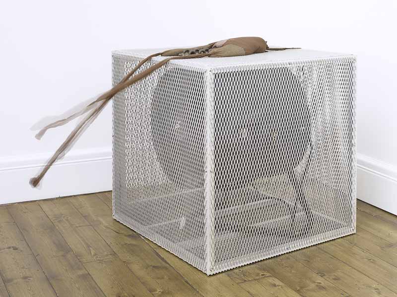 اثر سنکا ننگودی 11