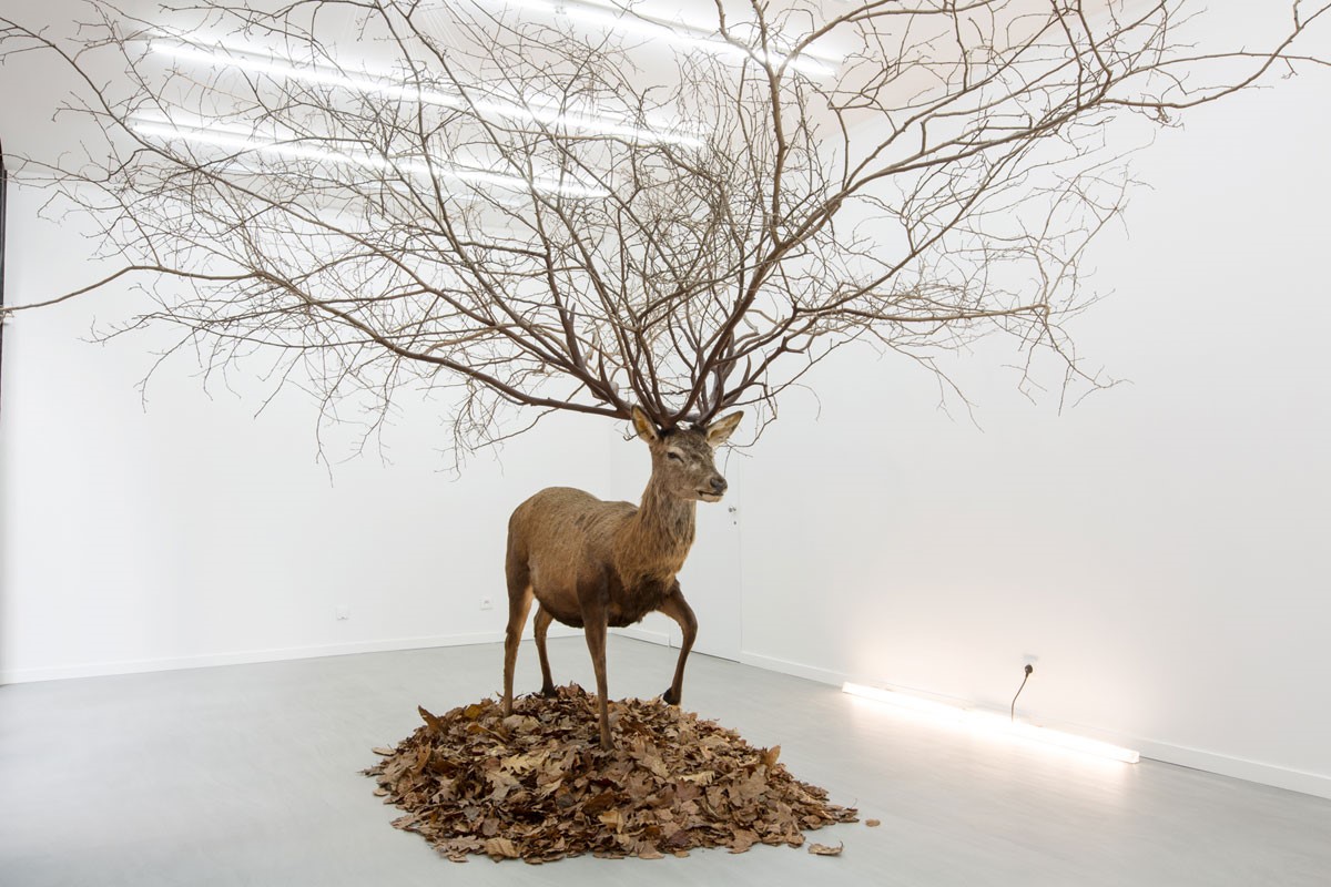 اثر میونگ بوم کیم