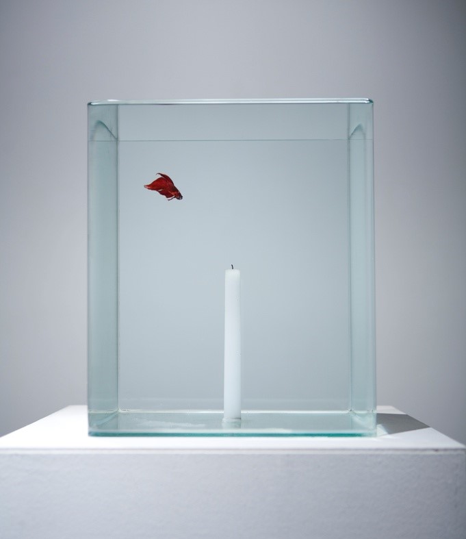 اثر میونگ بوم کیم