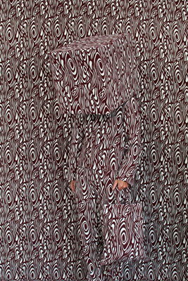 تصویر اثری از گودا کوستر 4