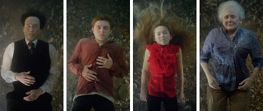 The Dreamers-2013  اثر Bill Viola