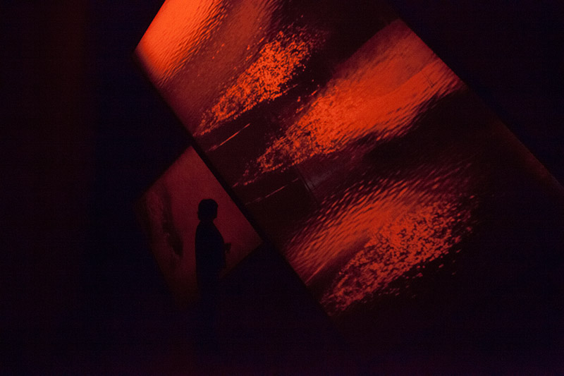 اثری از سیلویا ریوا