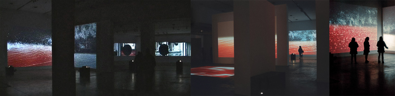 اثری از سیلویا ریوا