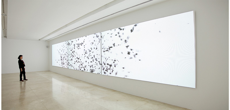 اثر سیلویا ریوا  10