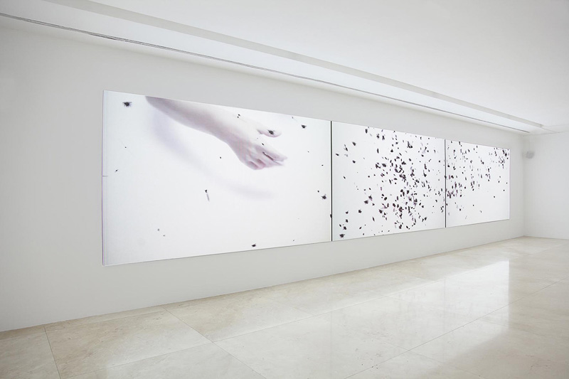 اثر سیلویا ریوا  11