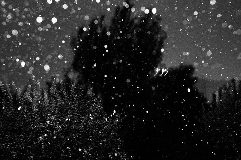 باران‌های موسمی هرگز از کوه‌ها نمی‌گذرند - کامیلو پاسکوآرلی 15