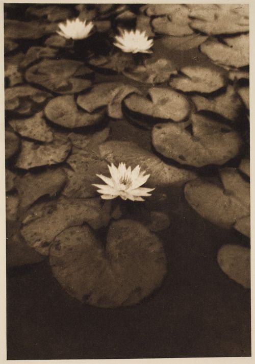 پیکتوریالیسم - بخش چهارم 5