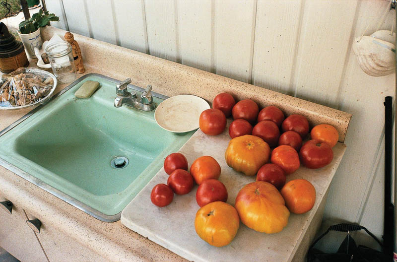 عکاسی خیابانی جیمز مائر - بخش سوم 5