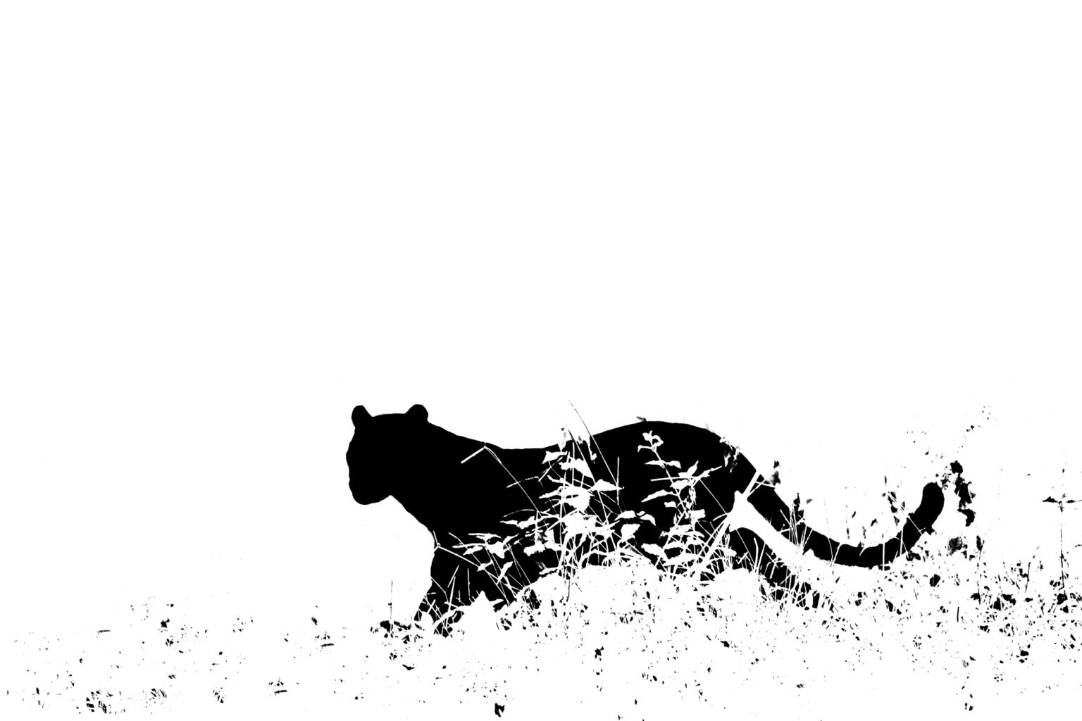 بیت‌ها در دنیای عکاسی دیجیتال - تصویر یک