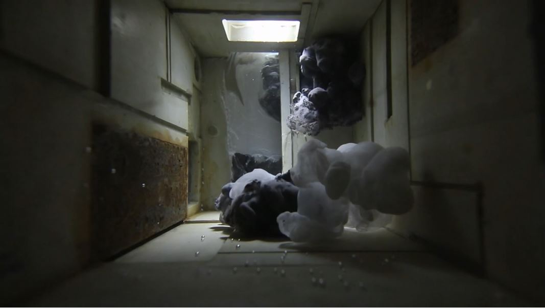 درباره Lucid liquid 4