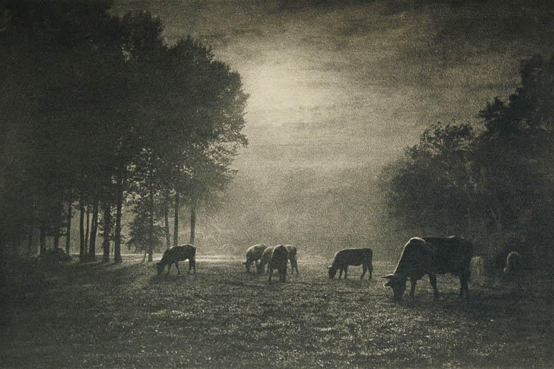 آیا عکاسی هنر است؟-بخش دوم 15