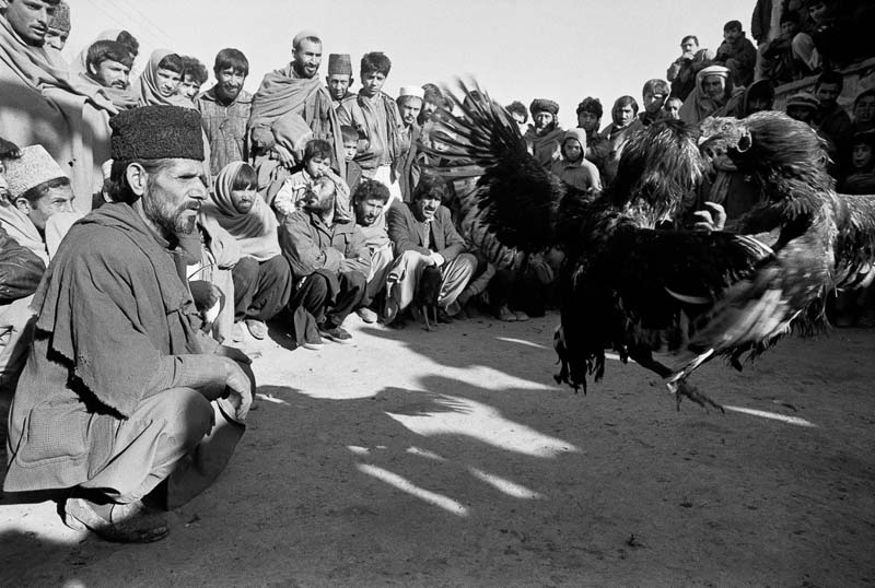 افغانستان، یک ادای احترام شخصی 5