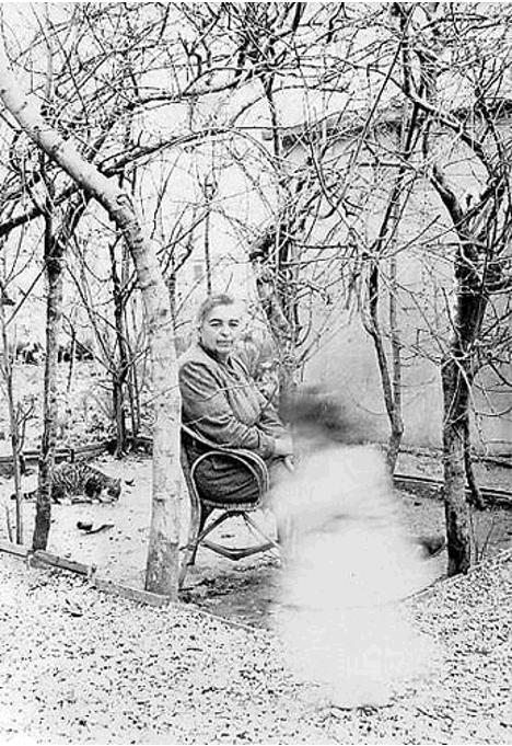 عکسی از ماریو جاکوملی