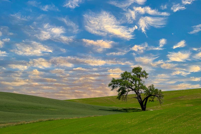 عکاسی از طبیعت - بخش دوم 1