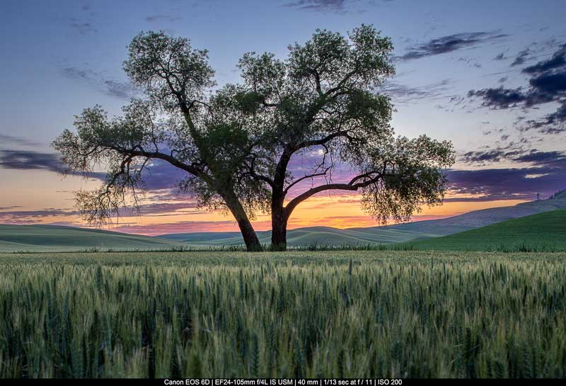 عکاسی از طبیعت - بخش دوم 2