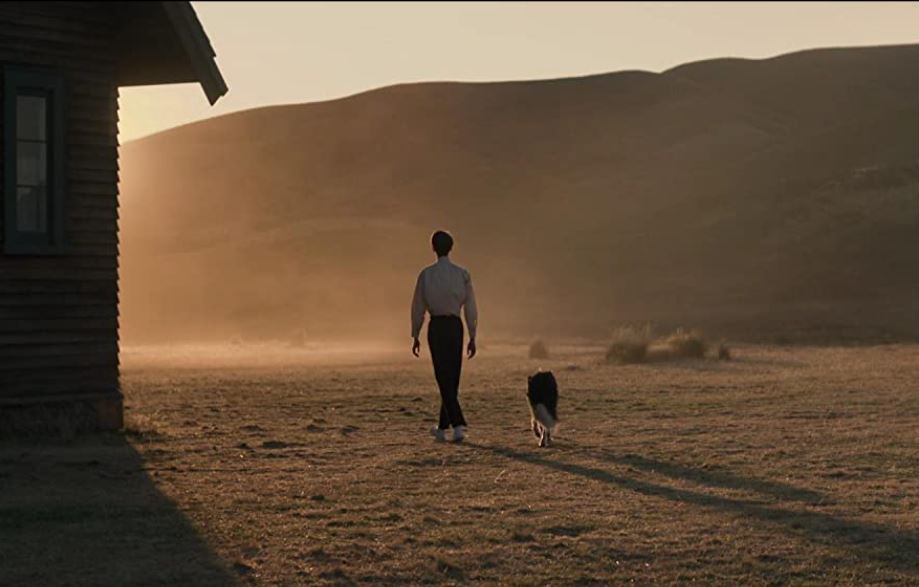 فیلم قدرت سگ 6