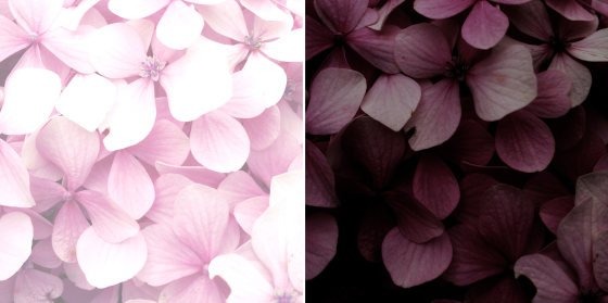 ۱۲ نکته برای عکاسی با موبایل 3