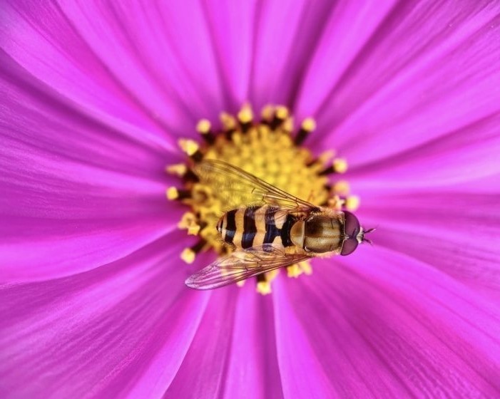 ۱۲ نکته برای عکاسی با موبایل 8