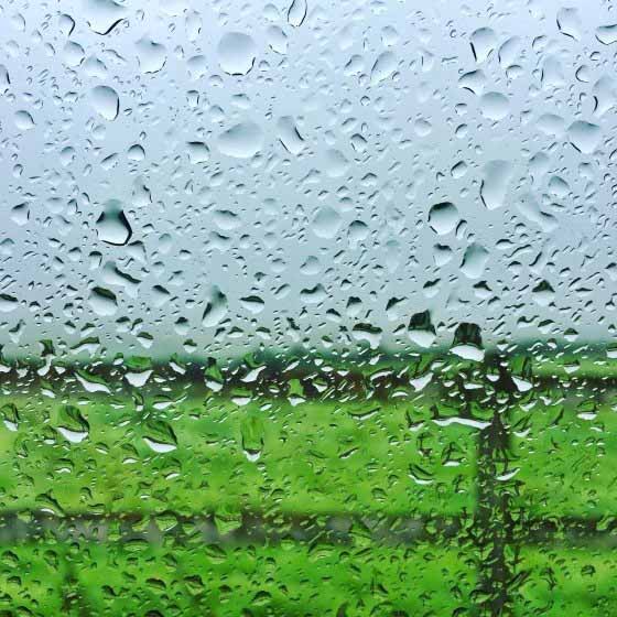 ۱۲ نکته برای عکاسی با موبایل 12