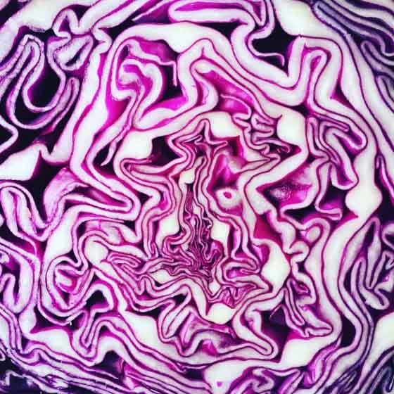 ۱۲ نکته برای عکاسی با موبایل 13