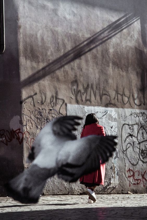 The Art of Composition in photography 18