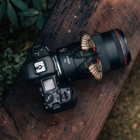 Best camera for Landscape photography nature photography