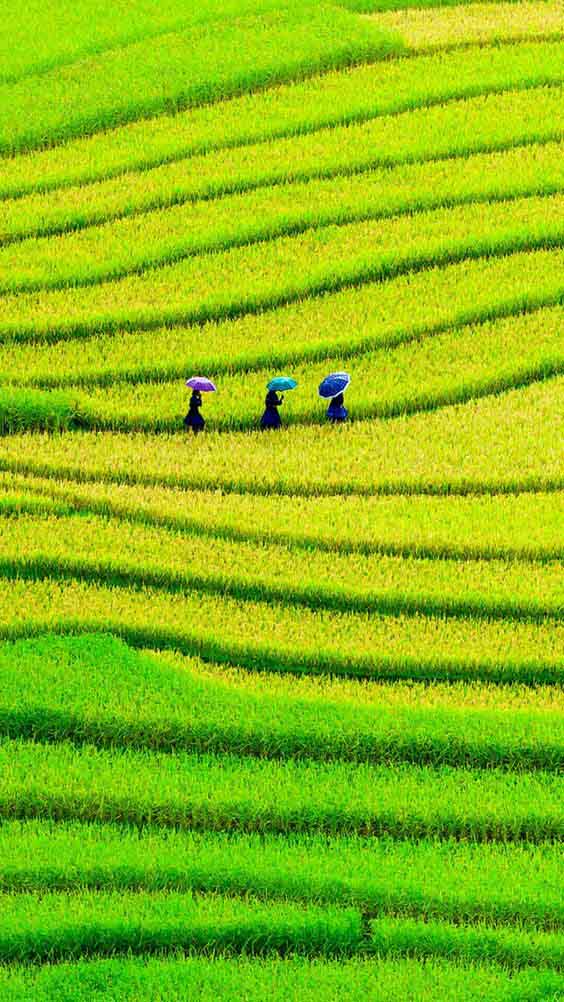 Landscape photography nature photography135