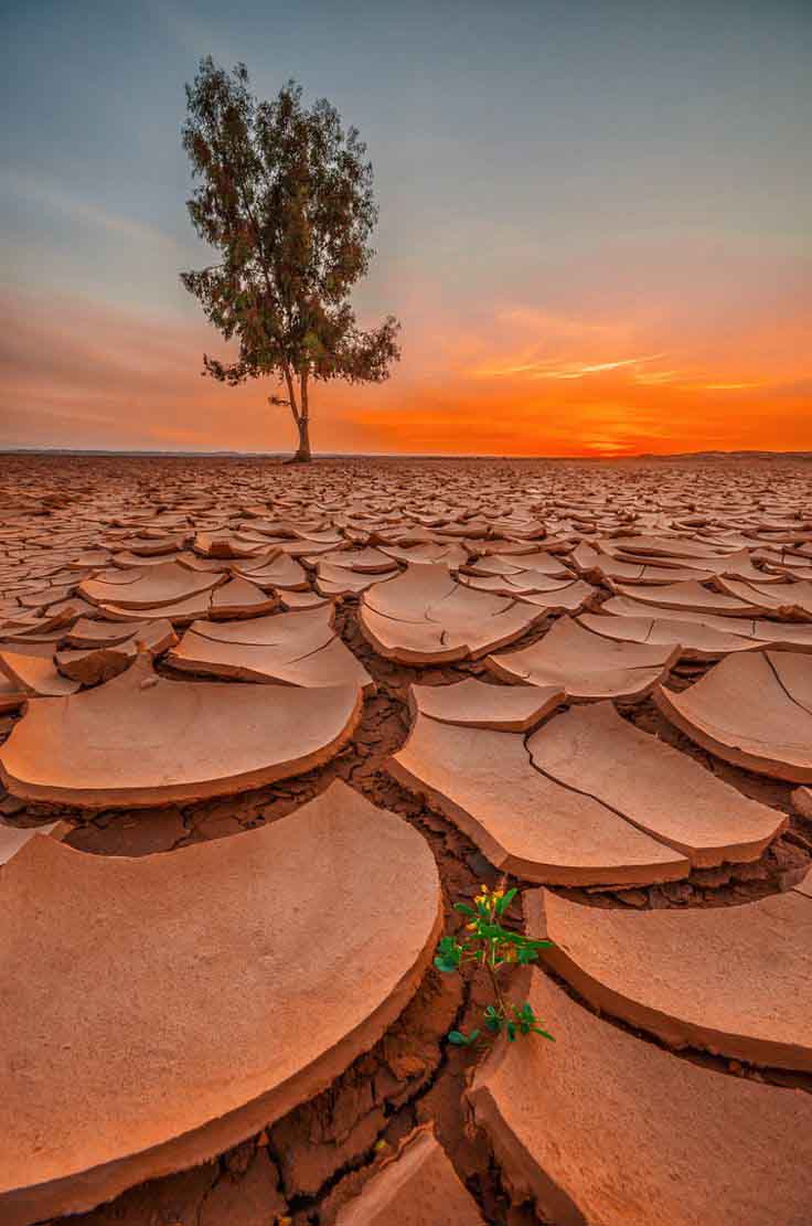 Desert Landscape photography nature photography