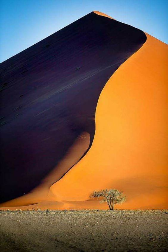 Desert Landscape photography nature photography