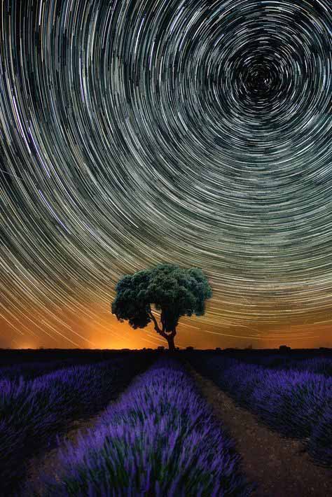 Night Sky Landscape photography nature photography