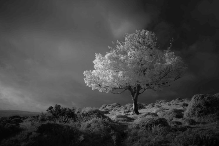 B&W Landscape photography nature photography