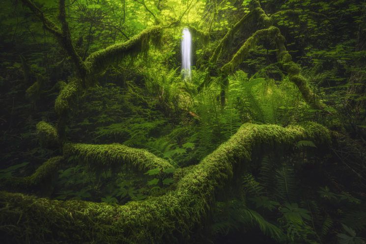 Landscape photography nature photography333