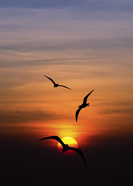 Landscape photography nature photography76