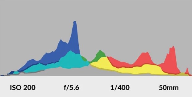 Camera Histogram