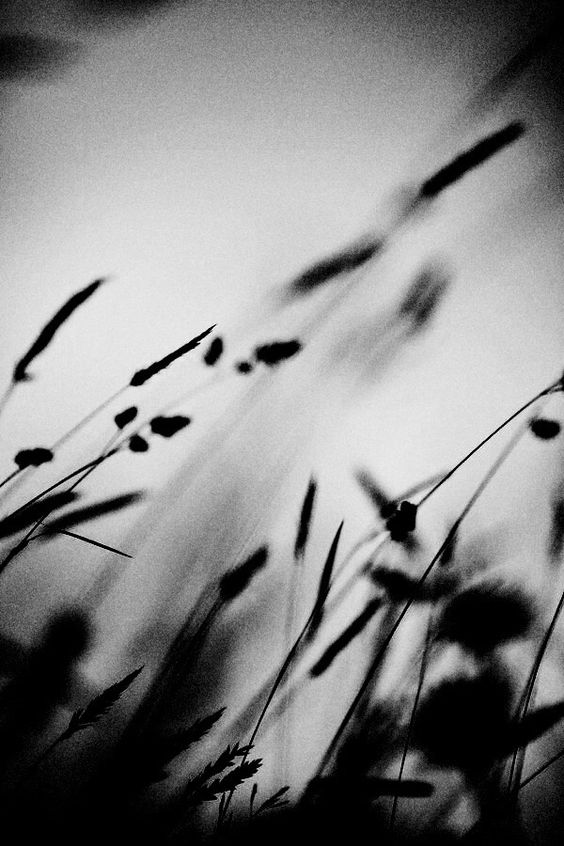 B&W Landscape photography nature photography