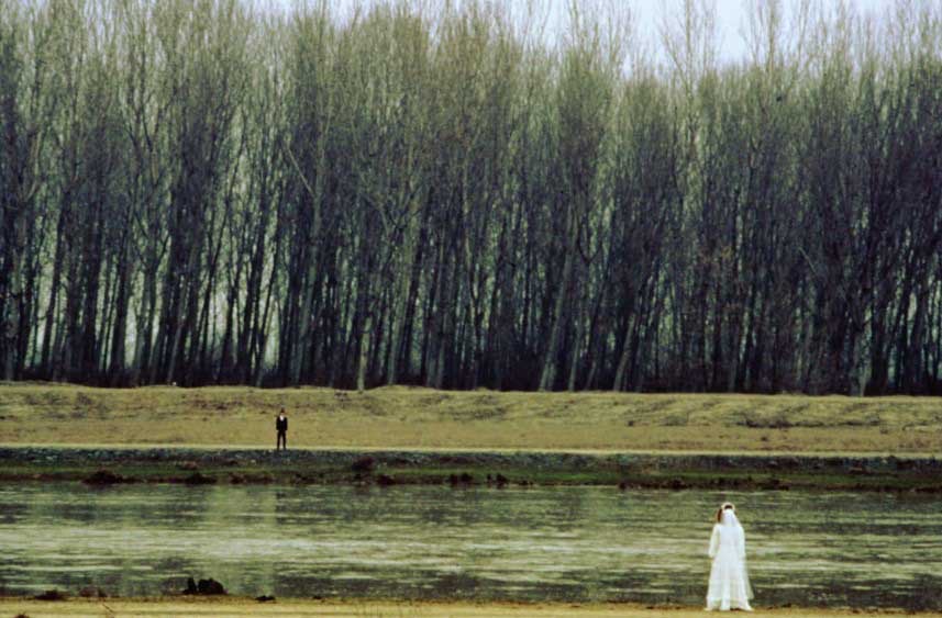 The Suspended Step of the Stork (4)