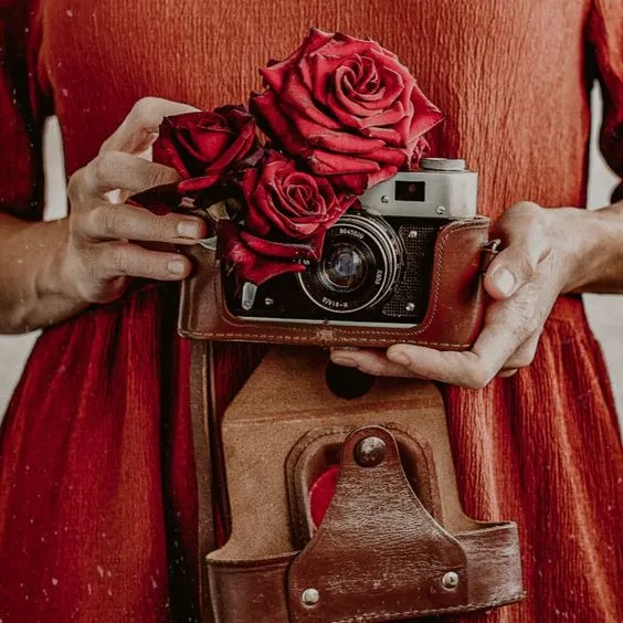 Freelance Photography (00)