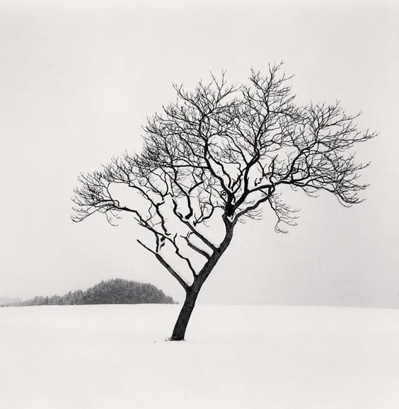 Minimal Photography -Michael Kenna
