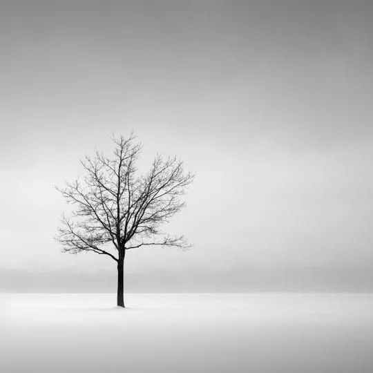Minimal Photography (63)