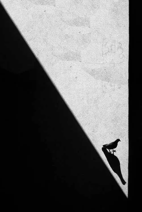 Minimal Photography (60)