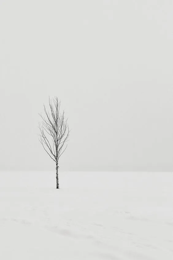Minimal Photography (53)
