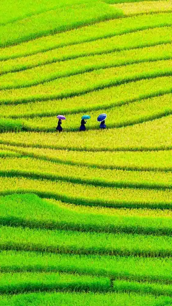 Minimal Photography (46)