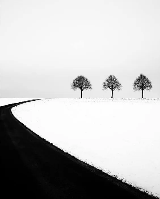 Minimal Photography (42)
