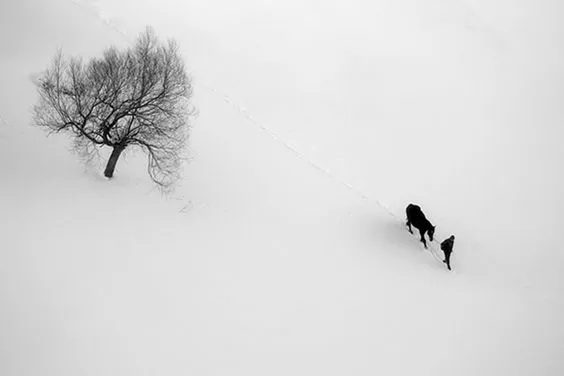 Minimal Photography (4)