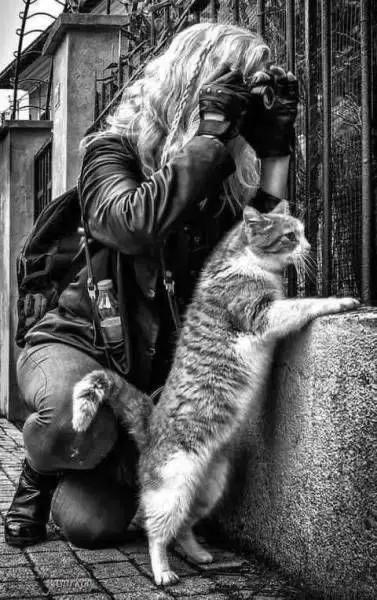 Staged Photography (7)