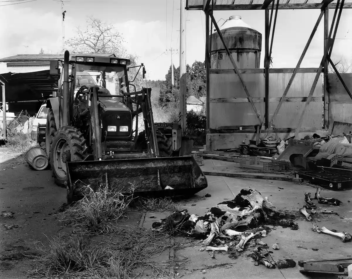 fukushima_fragments_018