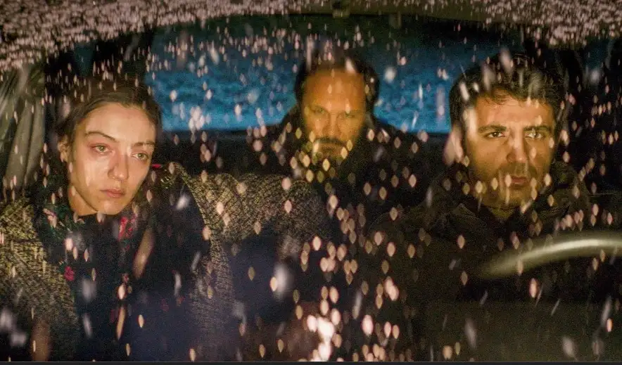 About Dry Grasses 11