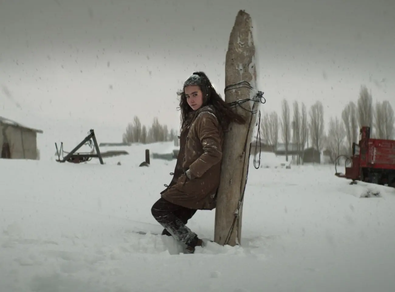 About Dry Grasses 02